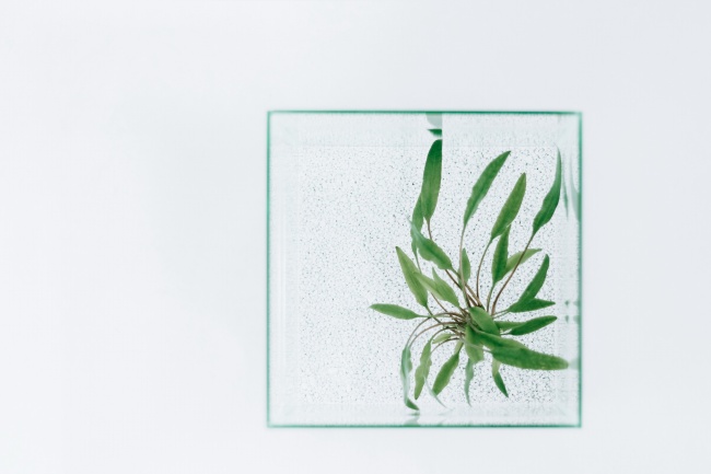 水瓶座2019年4月运势 各项运势都不理想