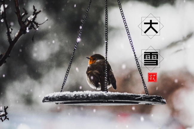 下半年事业运最好的星座