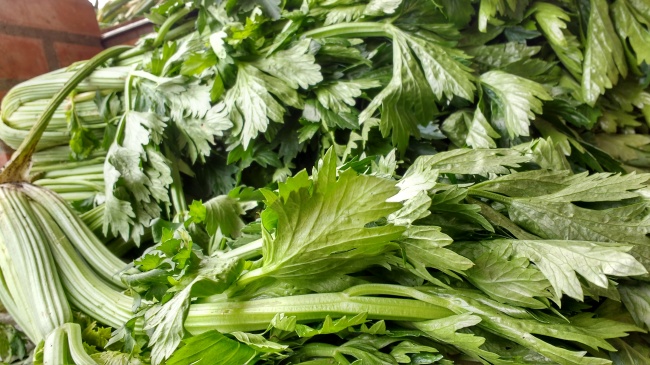出生日的命运：8月29日生日性格解析