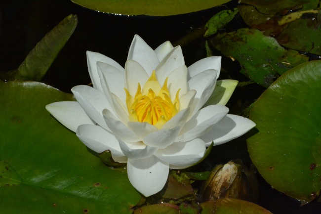 如何根据生辰八字给公司起名，带来好的财运