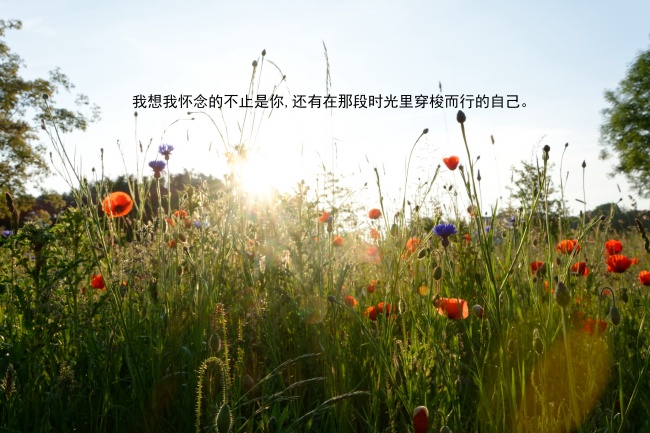 赵姓女孩名字大全2021属牛 非常俏皮