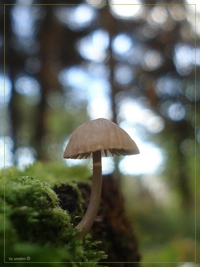 做最真的自己_罗姓男孩取名推荐