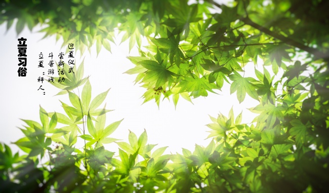 乖巧小女生 姓花的女孩名字推荐