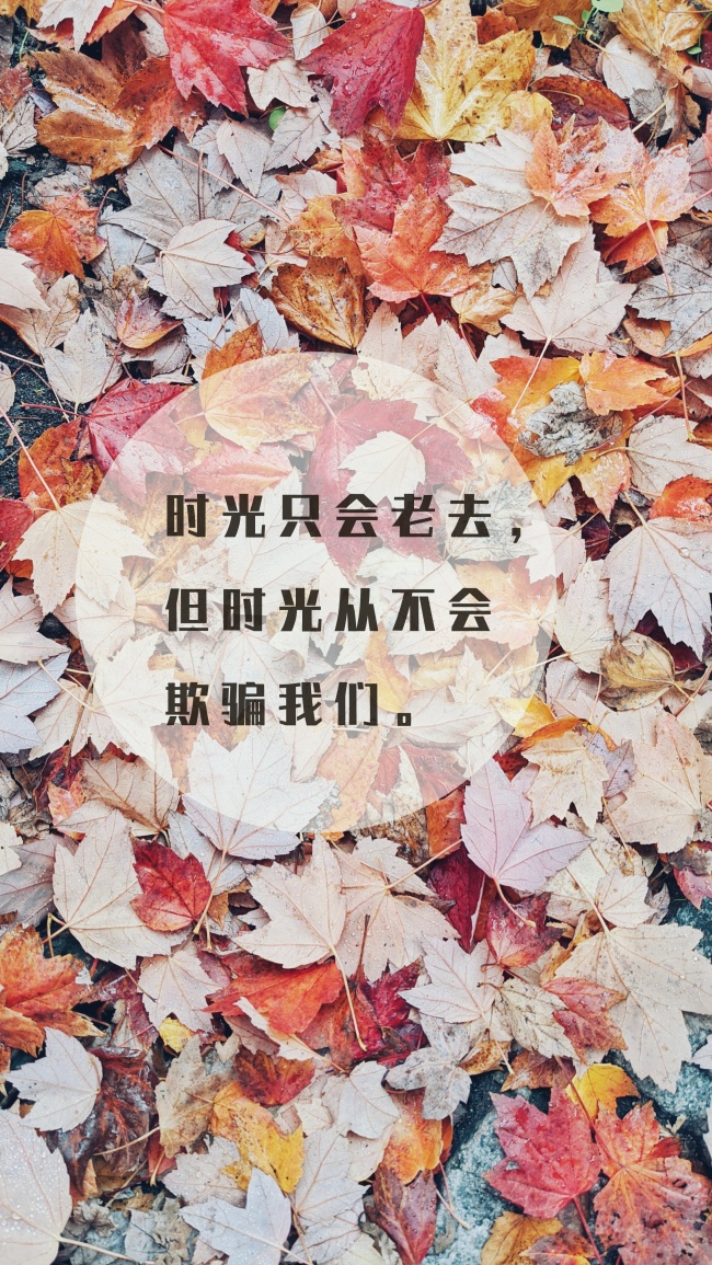 2020年立春出生的男孩名字