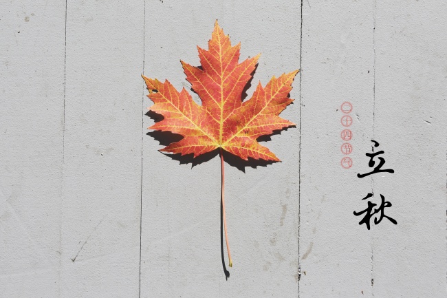 2021年农历四月出生的宝宝五行八字怎么样 四月牛宝宝取名宜用字