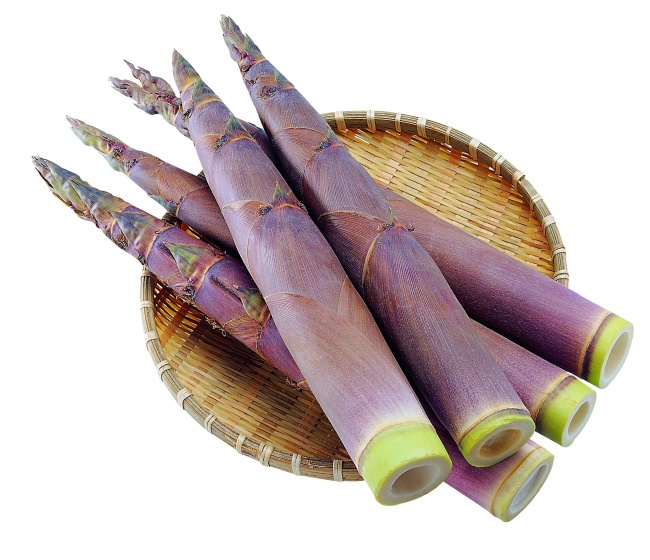 出生日的命运：3月8日生日性格解析