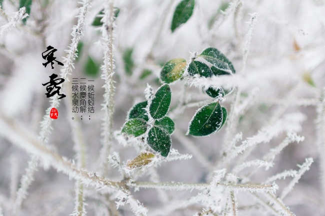 邹姓爸妈多看看，这些个超有爱的名字