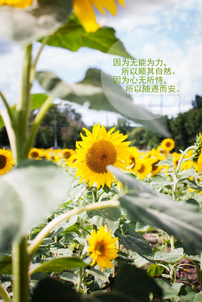姓李2021年宝宝名字 简单大气的李姓免费取名