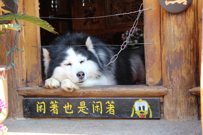 全场焦点贾姓男孩起名