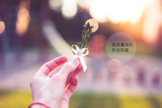 2018年7月27号属狗出生日的命运解析