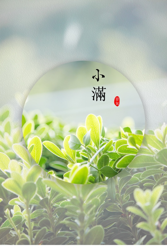 婚姻合八字合了八个字 具体好不好