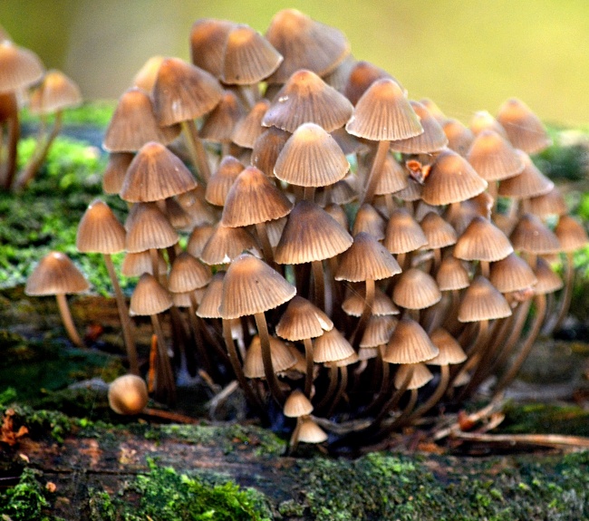 出生日的命运：7月3日生日性格解析
