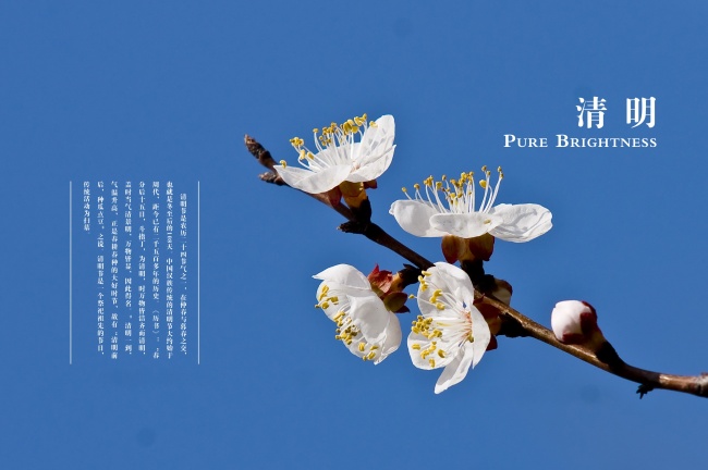 2021年3月5日出生的男孩五行名字 缺火喜用字