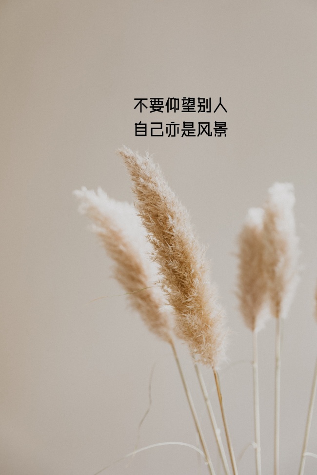 名人八字大全 辛丑日出生的宝宝命理分析