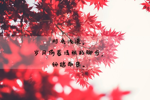 世界读书日出生的孩子叫什么小名 好听又好记