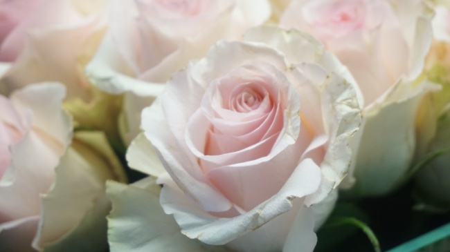 出生日的命运：6月2日生日性格解析