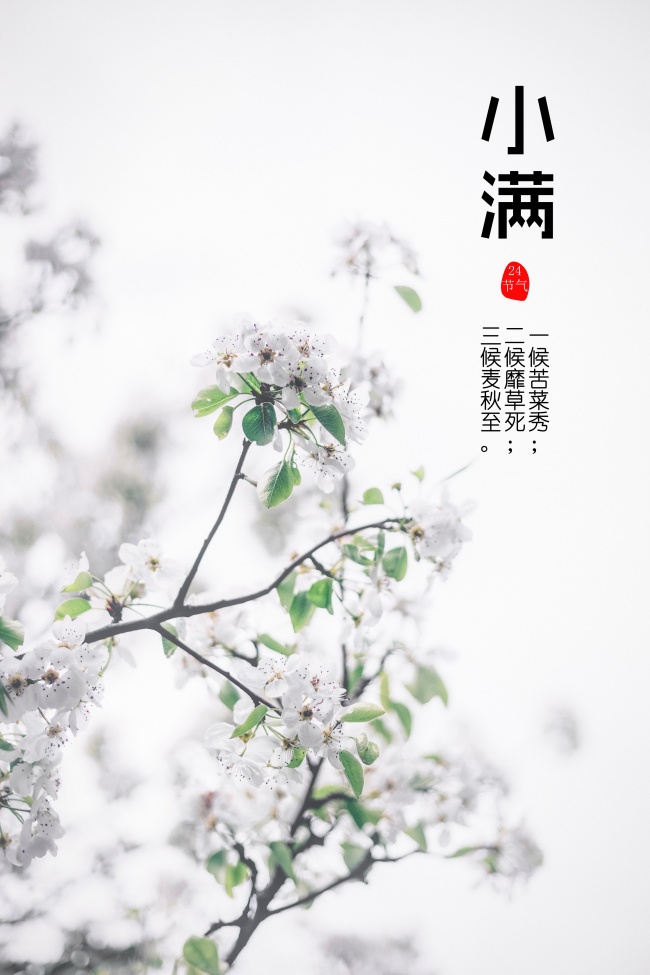 辛丑年出生的孩子取名 金牛年宝宝起名