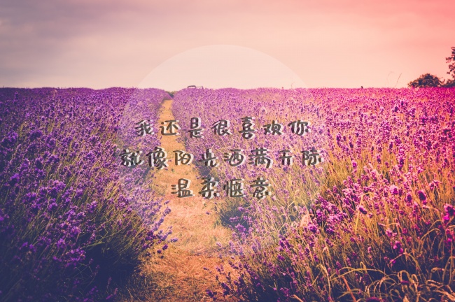 五行属金牛宝宝起名 牛年出生的孩子取名宜用字