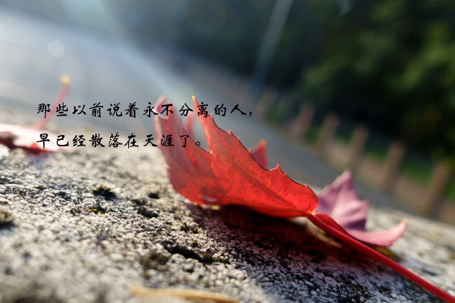 取自诗经楚辞的男孩名