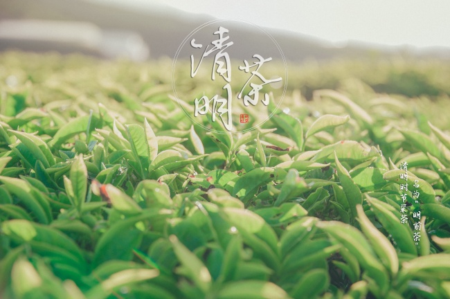 魏姓男宝宝起名字大全 简单大气取名