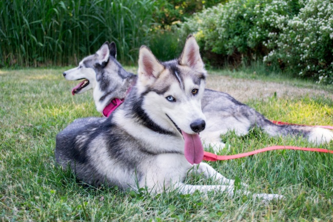 牛年三月十四起名 2021年4月25日出生的孩子命运如何