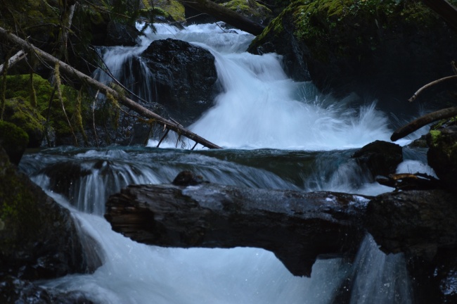 庚子年十月十八 2020年12月2日出生的人运势分析