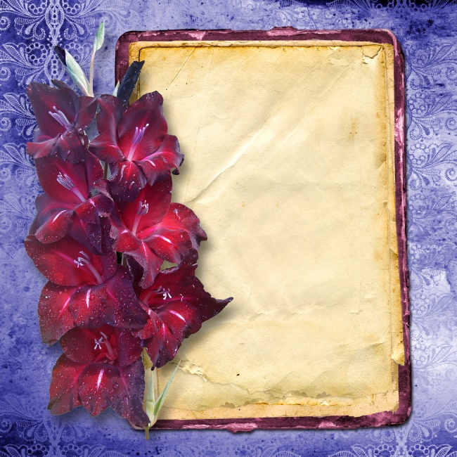 2020年11月20日出生的孩子属什么 阴历十月初六起名