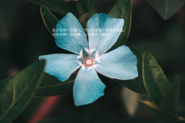 2020年国庆节出生的女孩命运咋样 取啥名