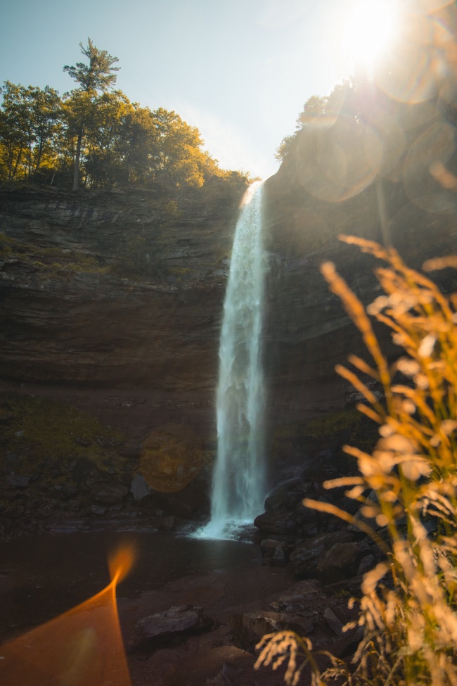 农历五月出生的牛命运如何 辛丑年起名分析