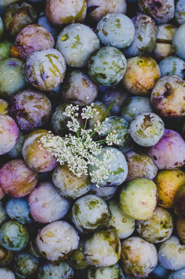 2020年12月20日十一月初六出生的属鼠人未来命运解析