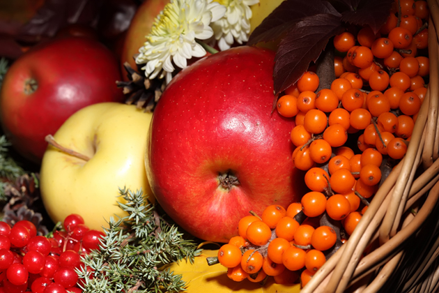 2020年秋分出生的男孩运势解析 根据命理取名