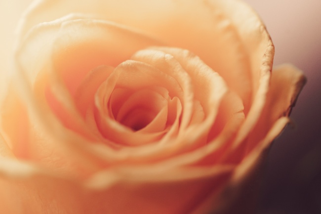 2021肖牛者三月出生好不好 贵人相助 逢凶化吉