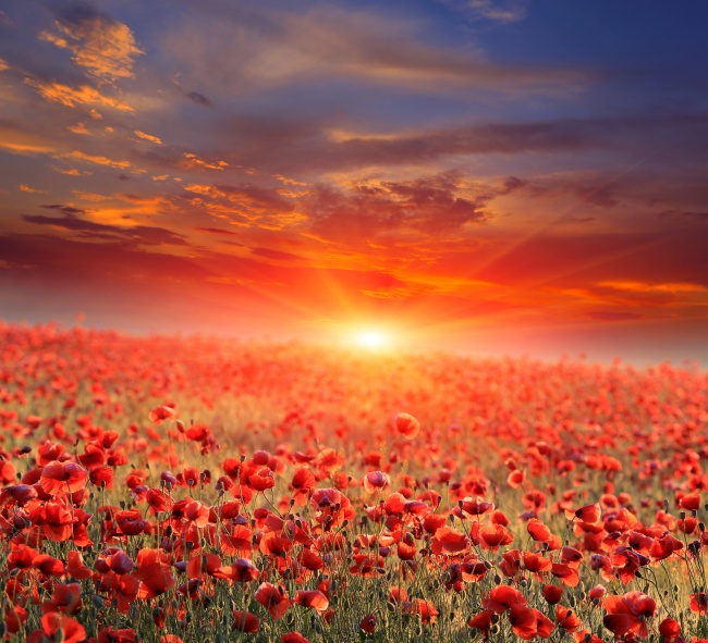 2021年属牛男宝什么时辰出生好 男孩出生的最佳时辰解析