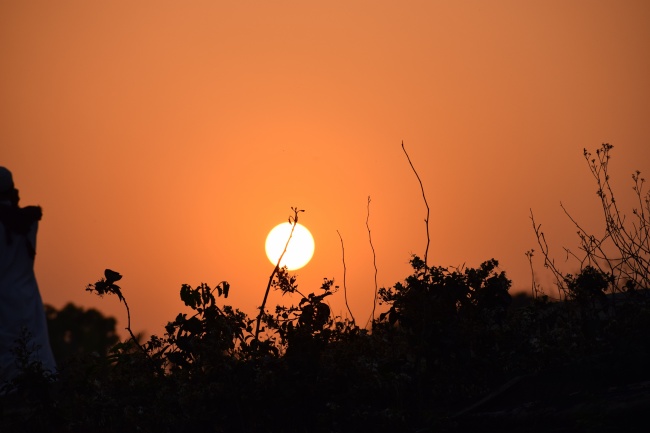 五行缺木的男孩取名宝典 100分名字最新