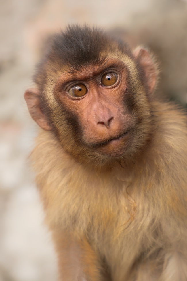 2021年3月12日生辰八字好不好 命理运势分析