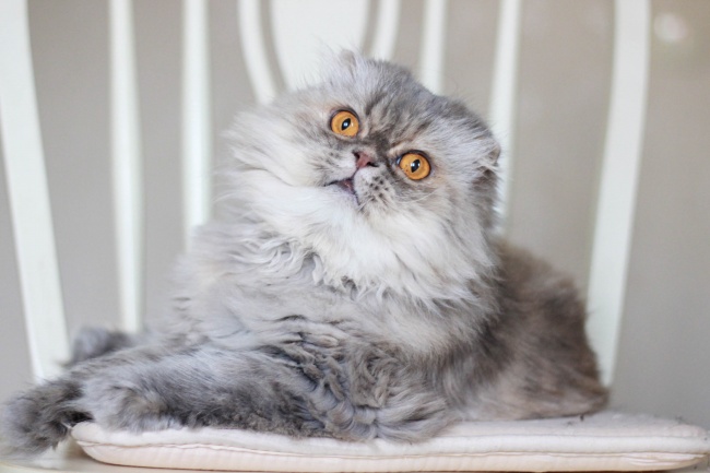 牛年农历五月出生的宝宝好不好 如何取名