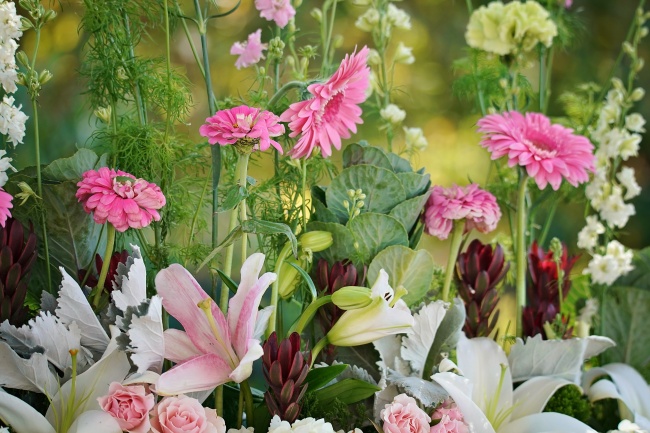 属牛农历五月出生男孩命运解析及起名推荐