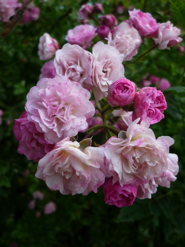 2020庚子年教师节出生的女宝宝命好不好 知书达理