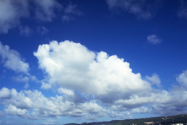 2021年4月11日生的孩子命苦吗 辛丑年二月三十起名