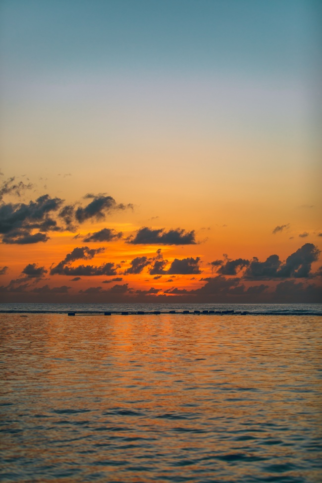 属牛二月初三起名 2021年3月15日的八字命理解析