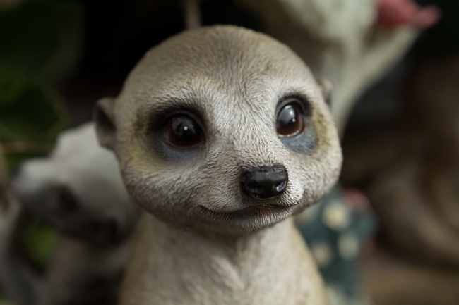 国庆节出生的人叫天胎吗 大师起名说