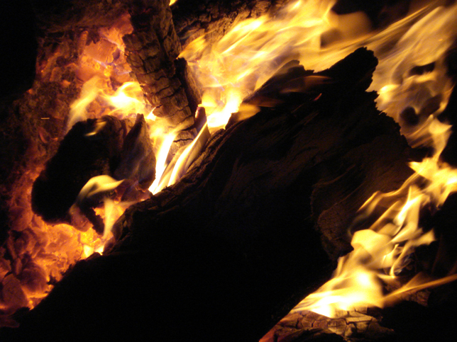 2021年属牛人十一月出生命怎样 一生多波折坎坷