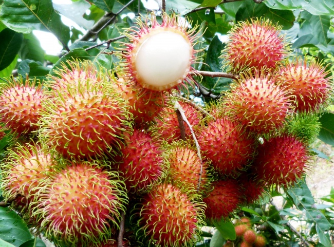 2021年11月29日出生取什么名字 简单大方洋气