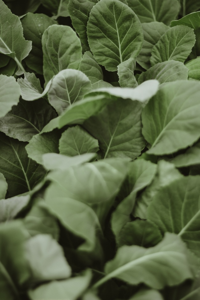 2020年秋季出生的女宝宝会红颜会薄命吗