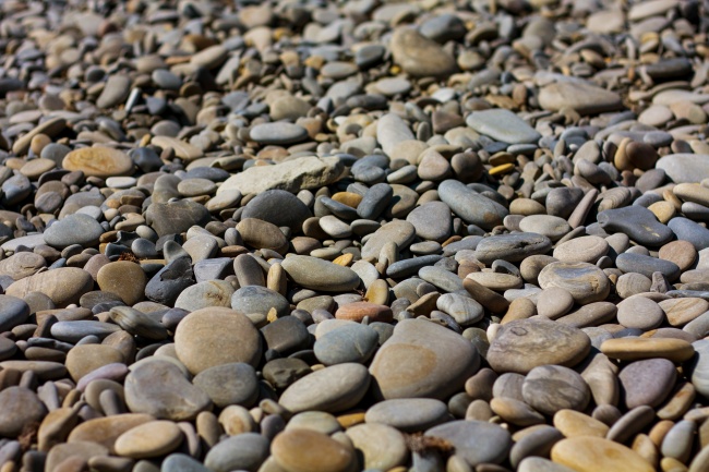 鼠年圣诞节出生的男鼠宝宝命运解析 不愁吃穿