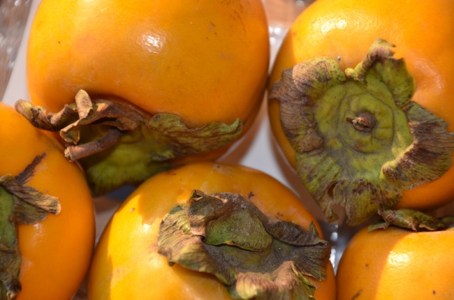 二月十九出世 2021年3月31日的属牛宝宝是富贵命吗