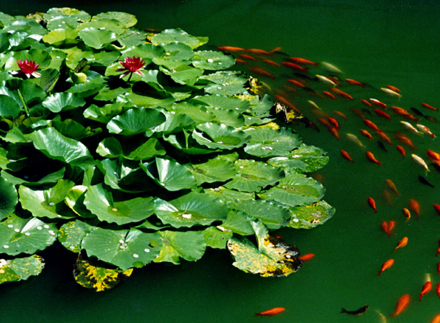 2021年2月出生的牛宝宝好不好 八字分析