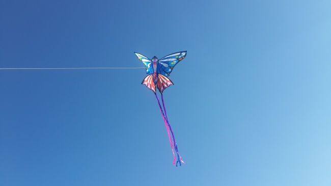 2020年农历八月十五中秋节出生的鼠宝宝好不好 前途无量