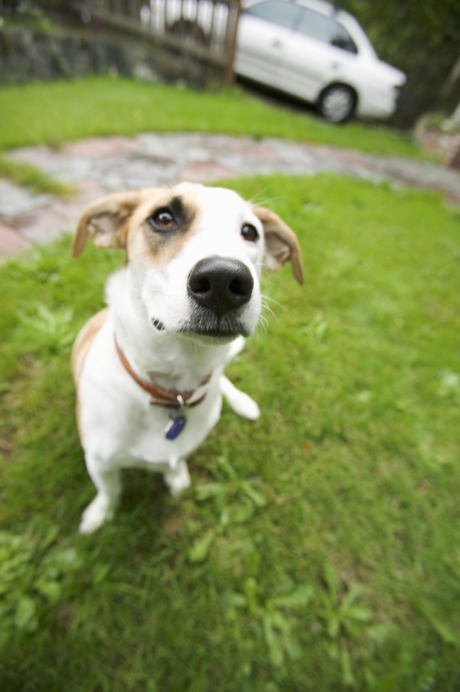 2021年大寒出生的女生是不是吉星高照