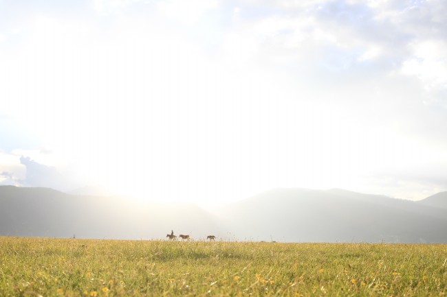 2021牛年农历十月十五下元节出生的孩子怎样取名最好字